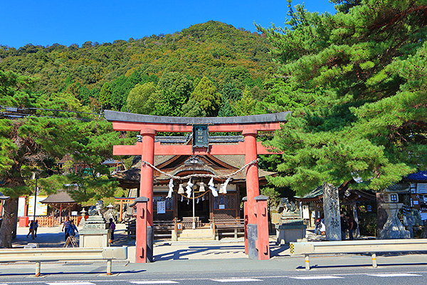 ��颐_�Ё@���掿�@�ʐ^