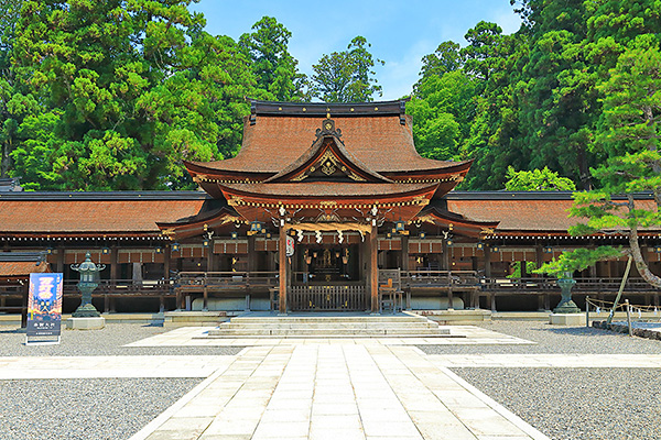 �����Ё@���掿�摜