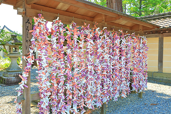 �����Ё@���݂���