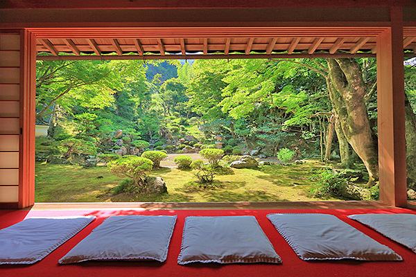 ���뎛�����@�@�ʐ^