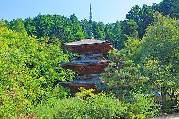 ���뎛�����@�@�摜