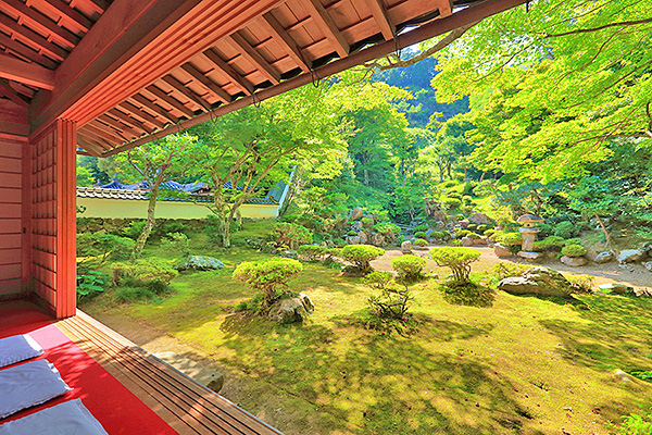 �����@�@�ʐ^