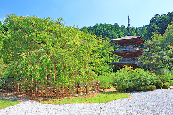 �����@�@�O�d��