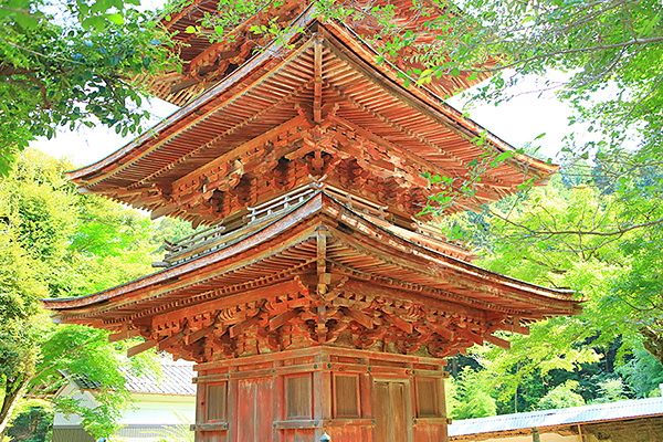 ����@�Č��@�����@�@�O�d��