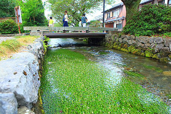 ������@�~�ԑ��@���߂����@�΂�����