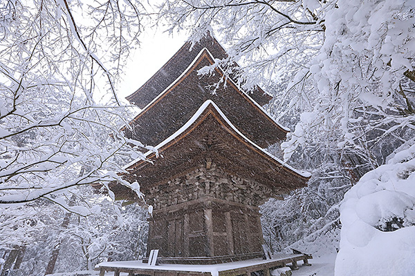 ֎@iF@摜
