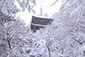 ֎@iF@摜