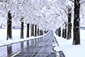 @^ZRCA؁@iF