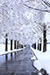 ^ZRCA؁@~@cʒu@ʐ^