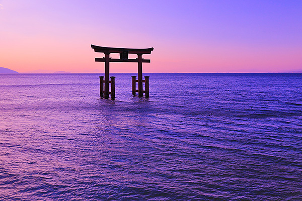 颐_Ё@i