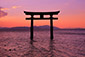 颐_Ё@~@ʐ^