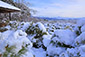 京都　嵐山　大河内山荘庭園　雪　眺望