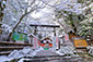 嵐山　野宮神社　雪景色