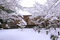 圓光寺　冬　雪