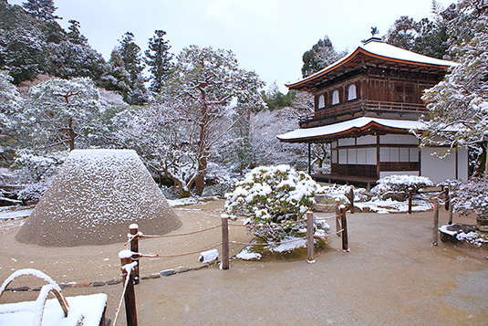 ��t���@�ቻ��