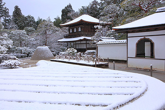 ��t���@��@���掿�摜