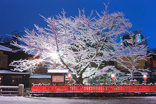 祇園白川　雪　高画質写真