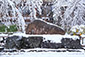 祇園白川　歌碑　雪景色