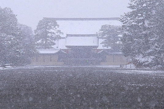 京都御苑　雪