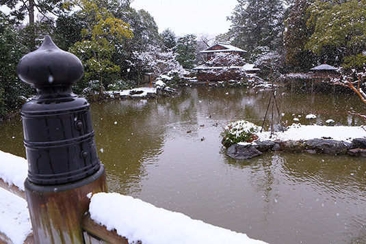 京都御苑　雪　画像