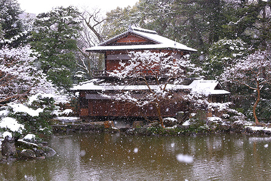 京都御苑　雪　写真