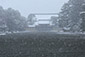 京都御所　雪景色