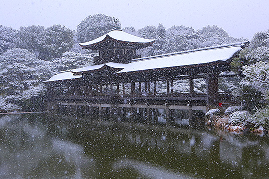 �����_�{�@�~�@�摜