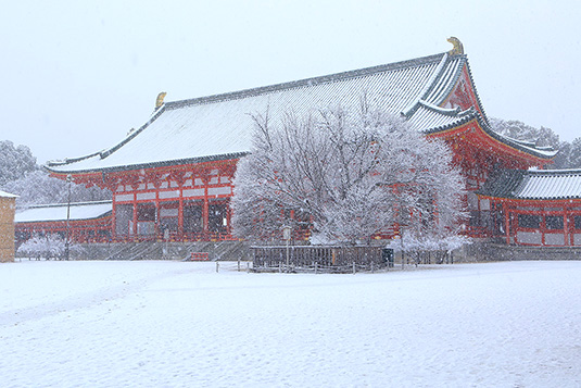 �����_�{�@��i�F�@���掿�摜