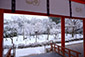 平安神宮　神苑入口　雪