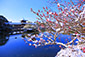 平安神宮　雪　写真