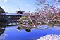 平安神宮　雪　画像