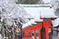 hirano shrine snow