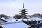 京都　八坂の塔　冬