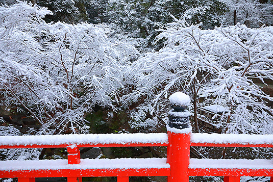 �����@��@�ʐ^