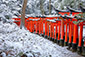 京都　伏見稲荷神社　鳥居　雪景色