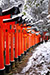 京都　伏見稲荷　鳥居　雪　縦位置写真