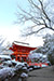 上賀茂神社　雪　写真