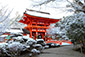 上賀茂神社　雪　高画質　画像