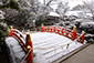 上賀茂神社　冬　写真