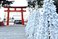 上賀茂神社　正月　おみくじ　雪
