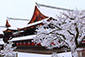 京都　北野天満宮　雪　高画質画像