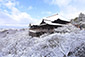 清水寺　雪景色　高画質　画像