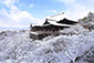 清水寺　雪景色　京都