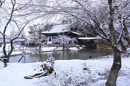 高台寺　雪　写真