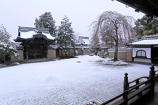 高台寺　雪景色　庭