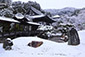 高台寺　冬　写真