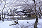 高台寺　雪景色　高画質　写真