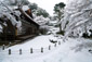 金福寺　雪