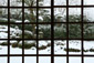 金福寺　書院前庭　雪
