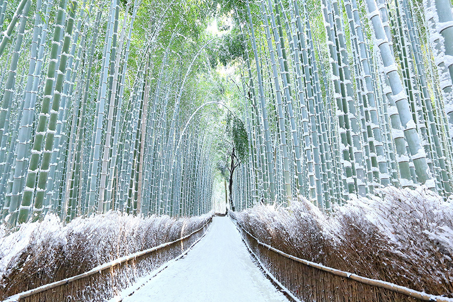 京都 雪 写真